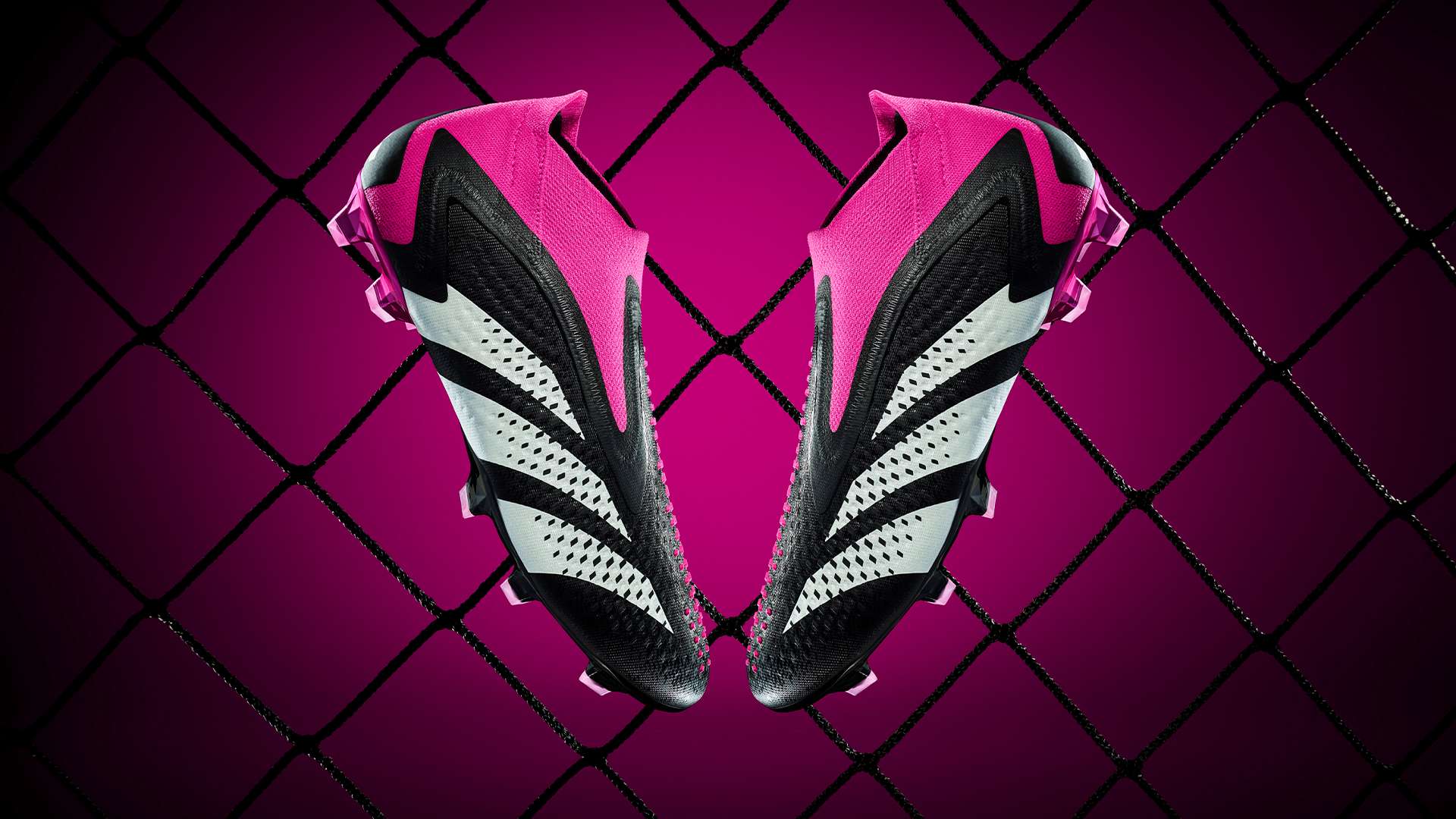 澳大利亚队 澳大利亚队